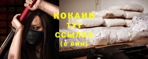 молекула духа Новодвинск