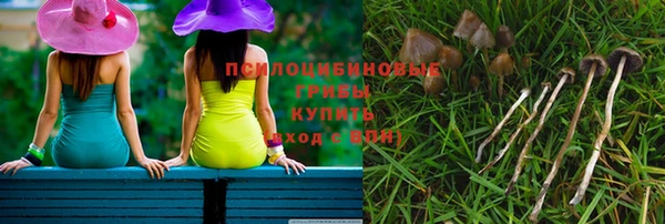 молекула духа Новодвинск