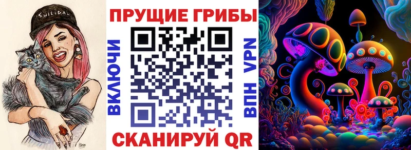 купить   Братск  Псилоцибиновые грибы MAGIC MUSHROOMS 